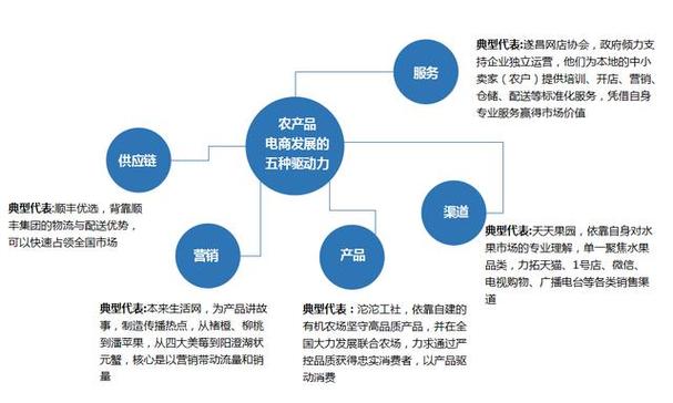 伍亮亮:五大农产品电商模式研究分析(图2)